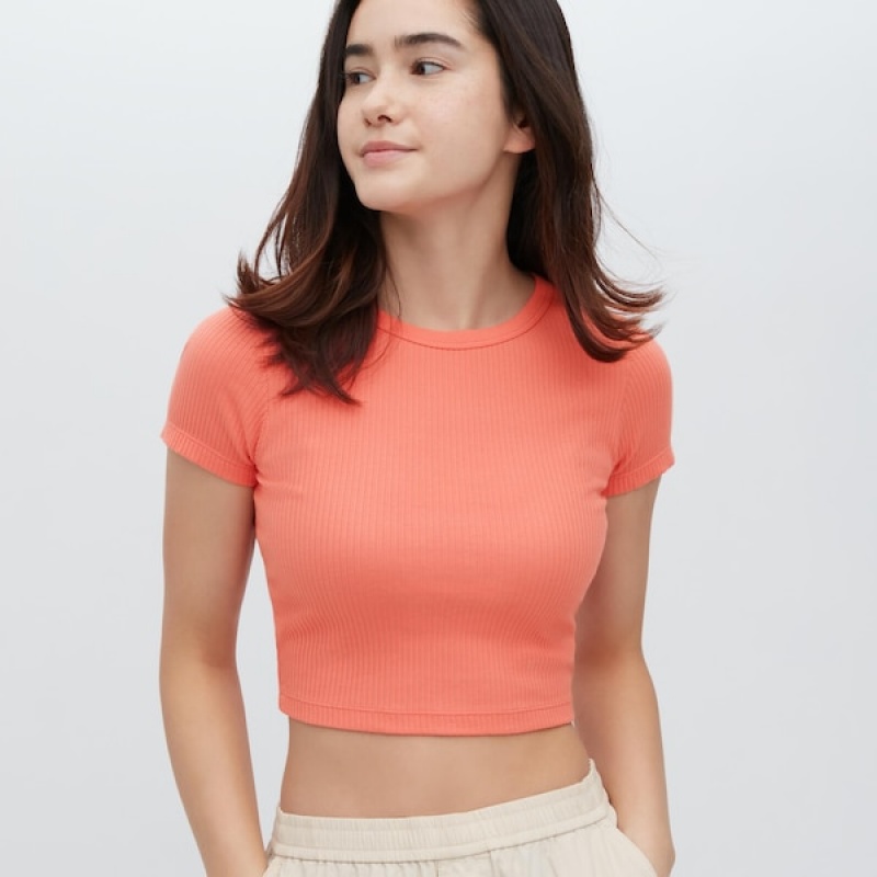 Uniqlo Ribbet Crew Neck Kort-Sleeve Cropped T-skjorte Dame Oransje | 8051-WLRQM